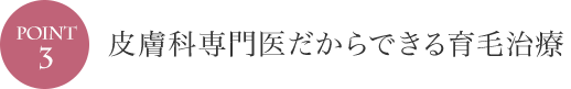 POINT3 皮膚科専門医だからできる育毛治療